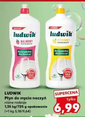 Kaufland LUDWIK Płyn do mycia naczyń oferta
