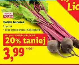 Lidl Polska botwina oferta