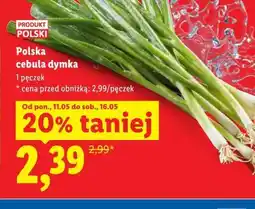Lidl Polska cebula dymka oferta