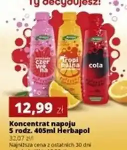 Torimpex Herbapol Koncentrat napoju oferta