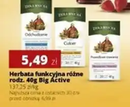 Torimpex Herbata funkcjonalna Big Active oferta