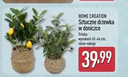 ALDI Sztuczne drzewka w doniczce HOME CREATION wysokość 42-46cm oferta