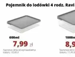 Torimpex Pojemnik do lodówki Ravi oferta