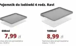 Torimpex Pojemnik do lodówki Ravi oferta