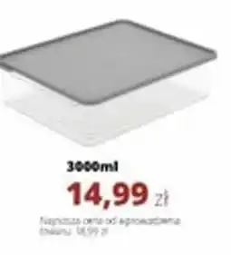 Torimpex Pojemnik do lodówki oferta