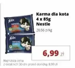 Torimpex Karma dla kota Nestle oferta
