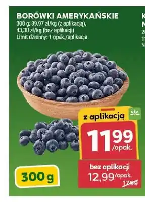 Borówki amerykańskie