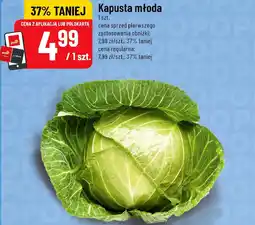 Polomarket Kapusta młoda oferta