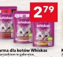 Lewiatan Karma dla kotów Whiskas oferta