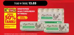 Biedronka Jaja z wolnego wybiegu Moja Kurka oferta