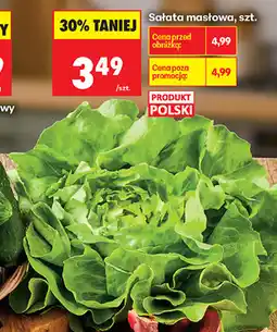 Biedronka Sałata masłowa, szt oferta