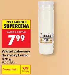Biedronka Wkład zalewany do zniczy Lumia oferta