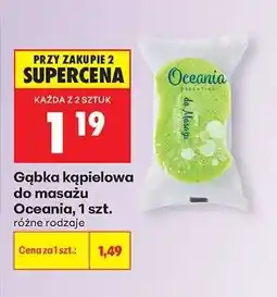 Biedronka Gąbka kąpielowa do masażu Oceania , 1 szt oferta