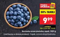 Biedronka Borówka amerykańska oferta