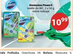 Drogerie Laboo Domestos Power5 kostki do wc oferta