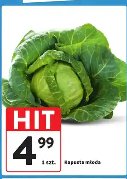 Intermarche Kapusta młoda oferta