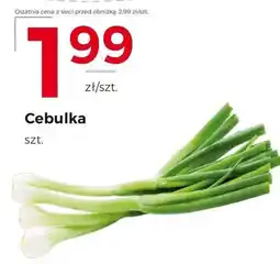 Frac Cebulka oferta