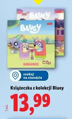 Lidl Książeczka z kolekcji Bluey oferta