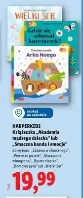 Lidl Książeczka Zabawa w chowanego oferta