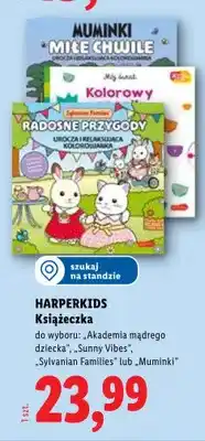 Lidl Książeczka Sunny Vibes oferta