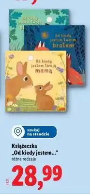 Lidl Książeczka Od kiedy jestem twoją siostrą oferta