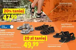 Lidl Sandały trekkingowe damskie lub męskie oferta