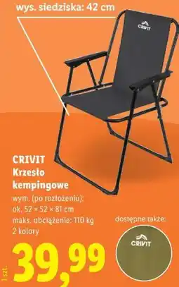 Lidl Krzesło kempingowe oferta