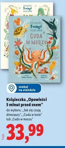 Lidl Książeczka „Opowieści 5 minut przed snem” oferta