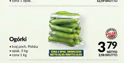Makro Ogórki polskie oferta