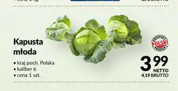 Makro Kapusta młoda polska oferta