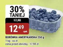 bi1 Borówka amerykańska oferta