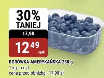 bi1 Borówka amerykańska oferta