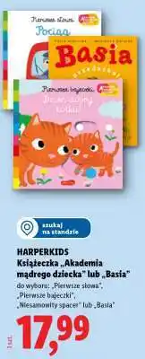 Lidl HARPERKIDS Książeczka „Akademia mądrego dziecka” lub „Basia” oferta
