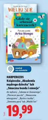 Lidl HARPERKIDS Książeczka oferta