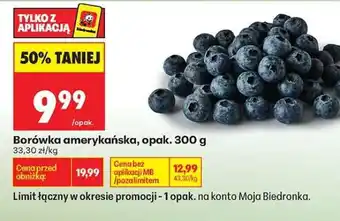 Biedronka Borówka amerykańska opak 300 g oferta