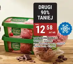 bi1 Lody zielona budka oferta