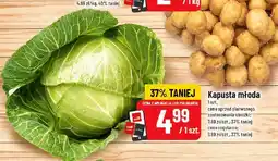 Polomarket Kapusta młoda oferta