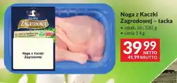 Makro Noga z Kaczki Zagrodowej tacka oferta