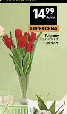 Delikatesy Centrum Tulipany oferta