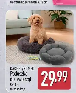 ALDI Poduszka dla zwierząt CACHET/ROMEO oferta