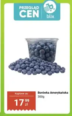 Dino Borówka amerykańska oferta
