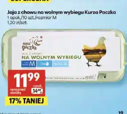 Delikatesy Centrum Jaja z chowu na wolnym wybiegu Kurza Paczka rozmiar M 10-pak oferta