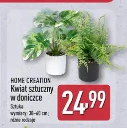 ALDI Kwiat sztuczny w doniczce HOME CREATION wymiary: 30-60cm oferta