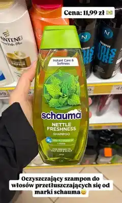 Dino Oczyszczający szampon do włosów przetłuszczających się Schauma Nettle Freshness oferta