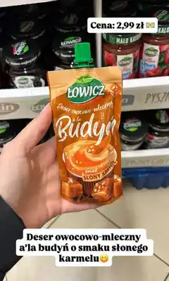 Dino Deser owocowo-mleczny a'la budyń o smaku słonego karmelu Łowicz oferta
