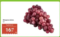 Dino Winogrono ciemne oferta