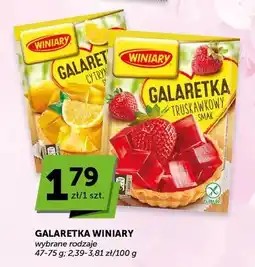ABC Galaretka Winiary oferta