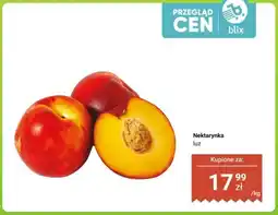 Dino Nektarynka luz oferta