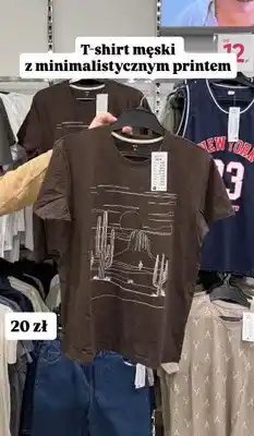 Pepco T-shirt męski z minimalistycznym printem Pepco Men brązowy oferta