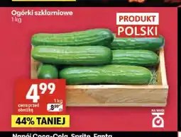 Delikatesy Centrum Ogórki szklarniowe oferta